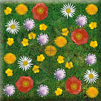 Das "Gelingt-immer"-Puzzle Wiesenblumen