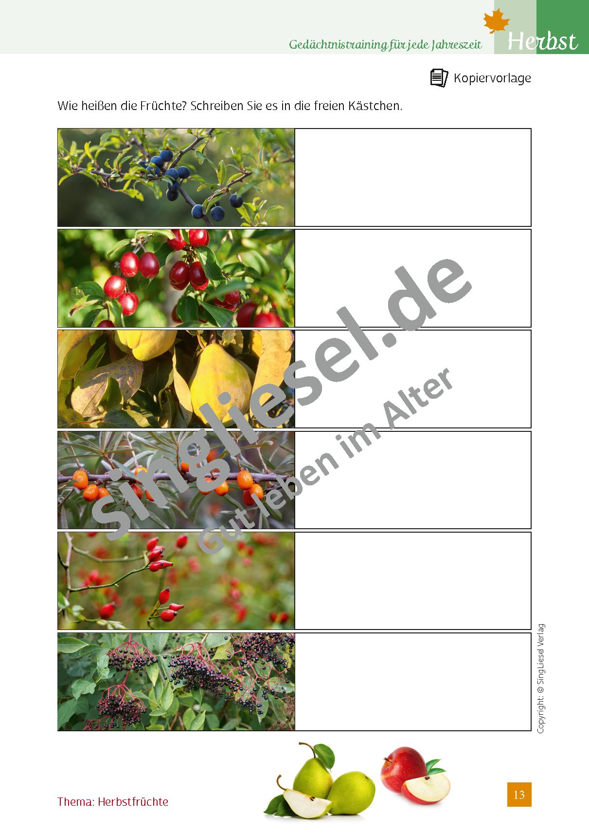 Herbstfrüchte - Gedächtnistraining für jede Jahreszeit (Sofort-Download als PDF)