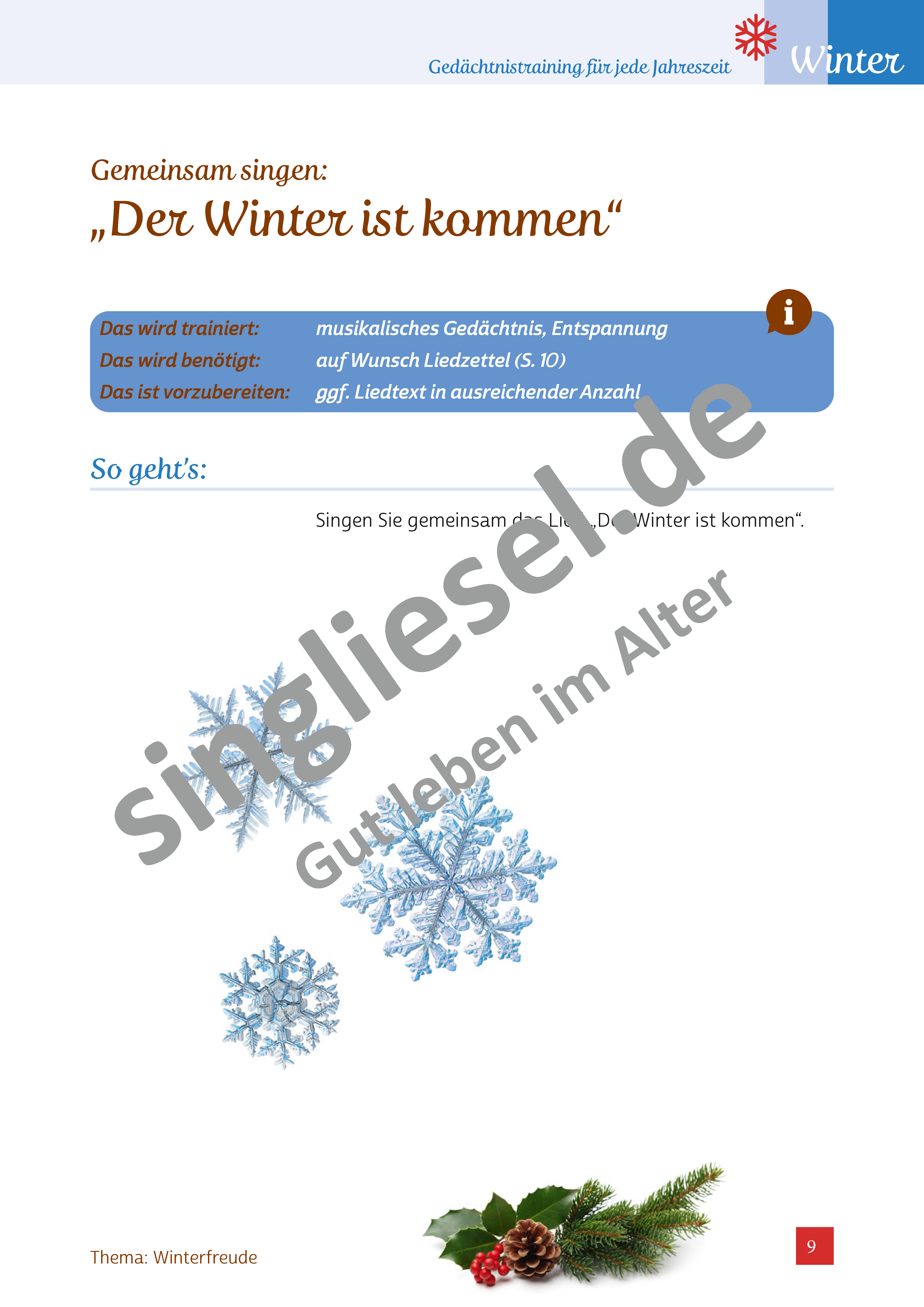 Winterfreuden - Gedächtnistraining für jede Jahreszeit (Sofort-Download als PDF)